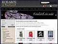Dtails du site www.echarpe-et-foulard.com