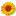 naturosante.com