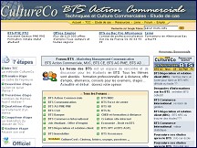 Aperçu du site CultureCo