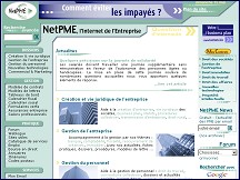 Aperçu du site NetPME, le portail internet des entreprises