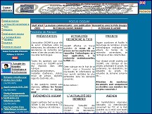 Aperçu du site InfOggam : l’association Oggam, la Veille Technologique