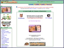 Cobayes et Hamsters