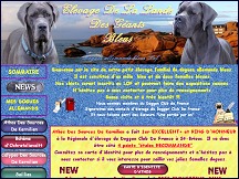 Elevage de la Lande des G�ants - �levage de dogues allemands bleus
