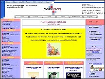 Aperu du site CyberPieces.com - vente de pices dtaches pour l'lectromnager
