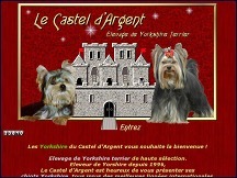 Castel Argent - �levage de Yorkshire Terrier