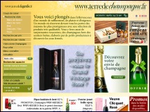 Aperu du site Terre de Champagne - vente de champagne en ligne