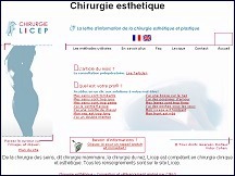 Aperu du site TouteLaChirurgieEsthetique.fr - infos sur la chirurgie esthtique et plastique