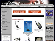 Aper�u du site Feeling Musique - sp�cialiste des instruments � vent