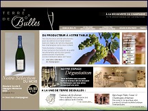 Aperçu du site Terre de Bulles - spécialiste des champagnes, vente de champagne en ligne