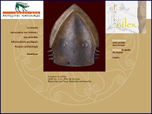 Aperçu du site Musée des antiquités nationales - Saint-Germain-en-Laye