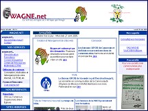 Aperu du site Wagne.net : le service en ligne de l'Afrique qui bouge