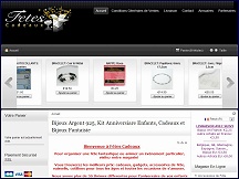 Aper�u du site F�tes Cadeaux - sp�cialiste du cadeau et de la f�te pour enfants