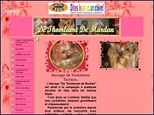 Aper�u du site Yorkshire-Passion.fr - �levage de yorkshire terriers De Thomlum� de Mardan
