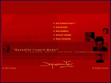 Aperçu du site Agency-dynamite.fr