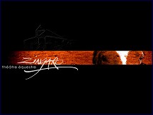 Aperçu du site Theatre-zingaro.com