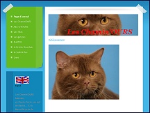 Aper�u du site Les Chamin'Ours - �levage de chats british shorthair & selkirk rex