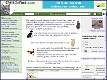 Aperu du site Chatsderace.net