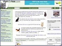 Aperçu du site Chatsderace.net
