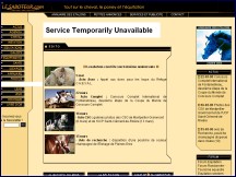 Aperçu du site Lesaboteur.com