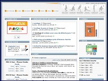 Aperçu du site Volley Zone