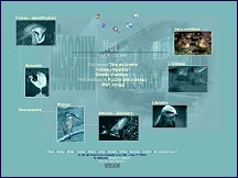 Guide encyclop�dique des oiseaux
