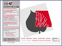 Aperçu du site CSA : Etudes de marché, enquêtes et sondages