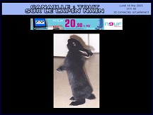 Canaille - Tout sur le lapin nain