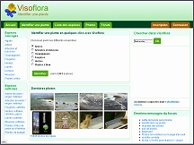 Aperu du site Visoflora - guide des plantes : arbres, arbustes, plantes  fleurs 