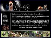 Aperu du site Yorkshire Monderlay - levage Yorkshire Terrier, vente de chiots LOF