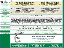 Aperçu du site Lebridgeur.fr