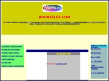 Aperçu du site Boursilex - le guide de la bourse de l'épargne