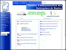 Aperu du site Institut d'Administration des Entreprises de Nantes - management  l'universit