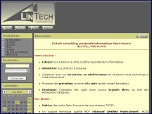 Aperu du site Lintech Consulting Languedoc Roussillon - partenaire informatique PME PMI
