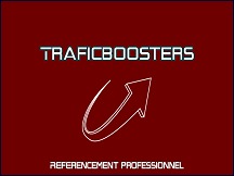 Aperçu du site Référencement TraficBoosters