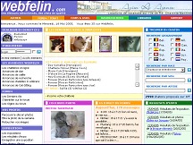 Webfelin - chats du web
