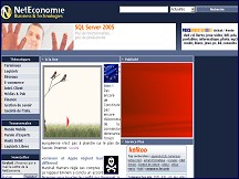 Aperçu du site Net Economie - NetEconomie.com