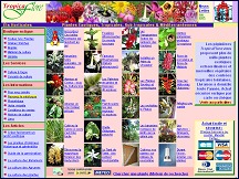 Aperu du site Plantes exotiques tropicales et mditerranennes - TropicaFlore