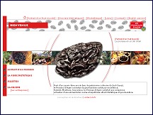 Pruneau d'Agen : tout sur les pruneaux, fruits d'un terroir