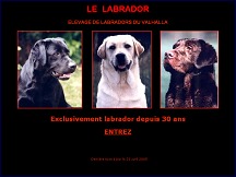 Aperu du site Labradors.org - levage de labradors