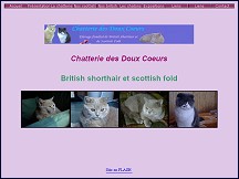 Chatterie des doux coeurs - �levage de chats de race