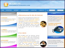 Aperu du site Netcast Marketing