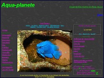 Aperu du site Aqua Planete - aquarium et aquariophilie