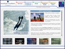 Syn�thique Consultants - soci�t� de conseil et formation