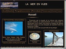 Aquaphil - photographies sous-marines en apn�e, faune sous-marine