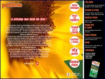 Aper�u du site Petit Fut� : guides de voyage