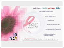Aperu du site Cancerdusein.org - pour tout savoir sur le cancer du sein