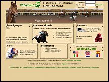 Sulkyland - votre �curie de chevaux virtuels