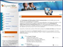 Synertic Conseil - consultant en TIC