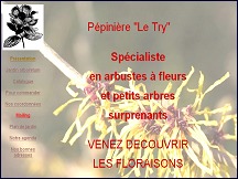 Aperu du site Ppinire Le Try en Belgique, arbres et arbustes  fleurs