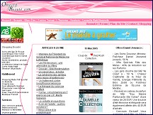 Aperçu du site Objectif Beauté